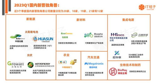 2023第一季度國內(nèi)貿(mào)易代理獨角獸崛起 資本力量與行業(yè)新秀